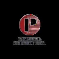Pioneer Cements Ltd