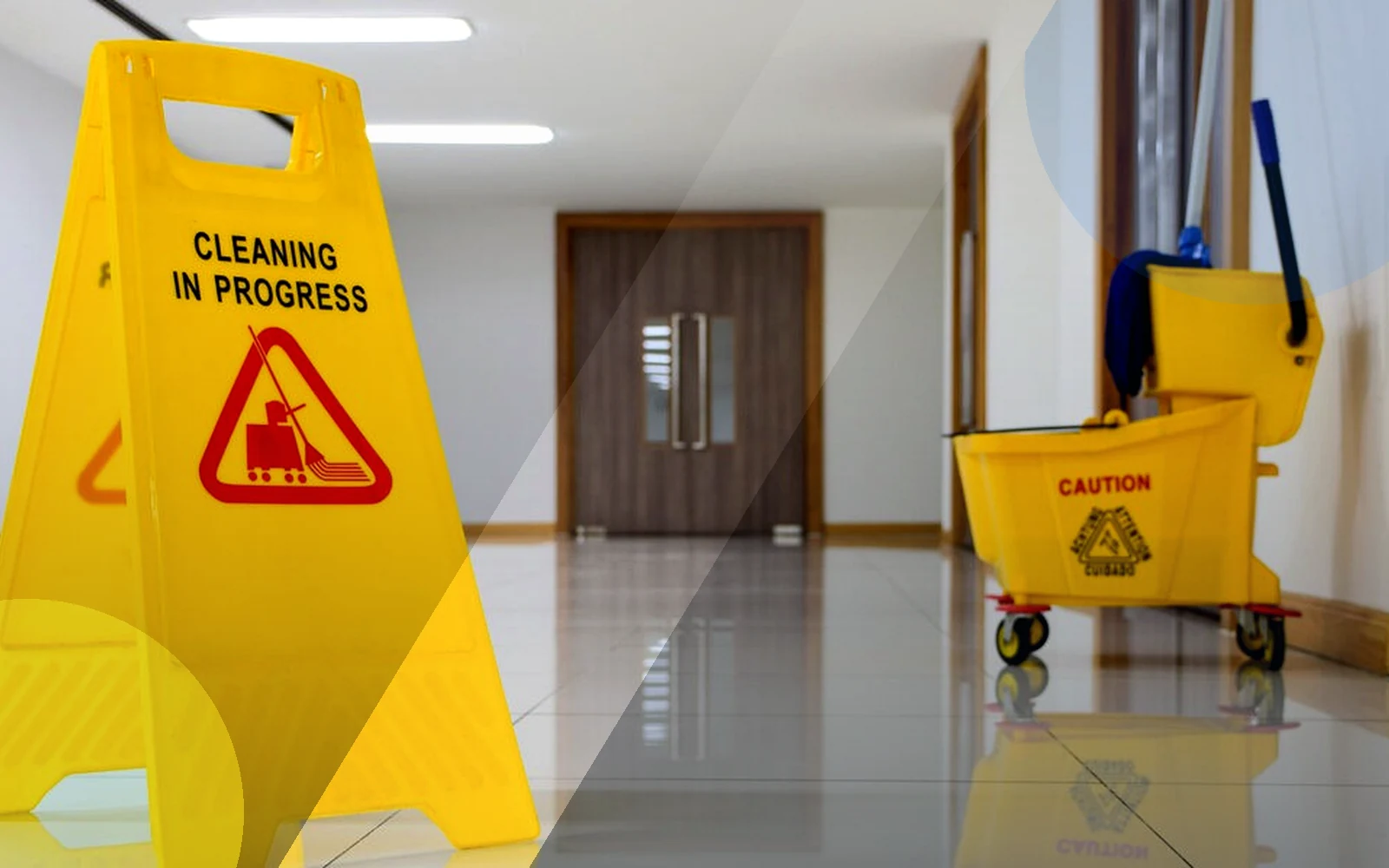 Professional cleaning service