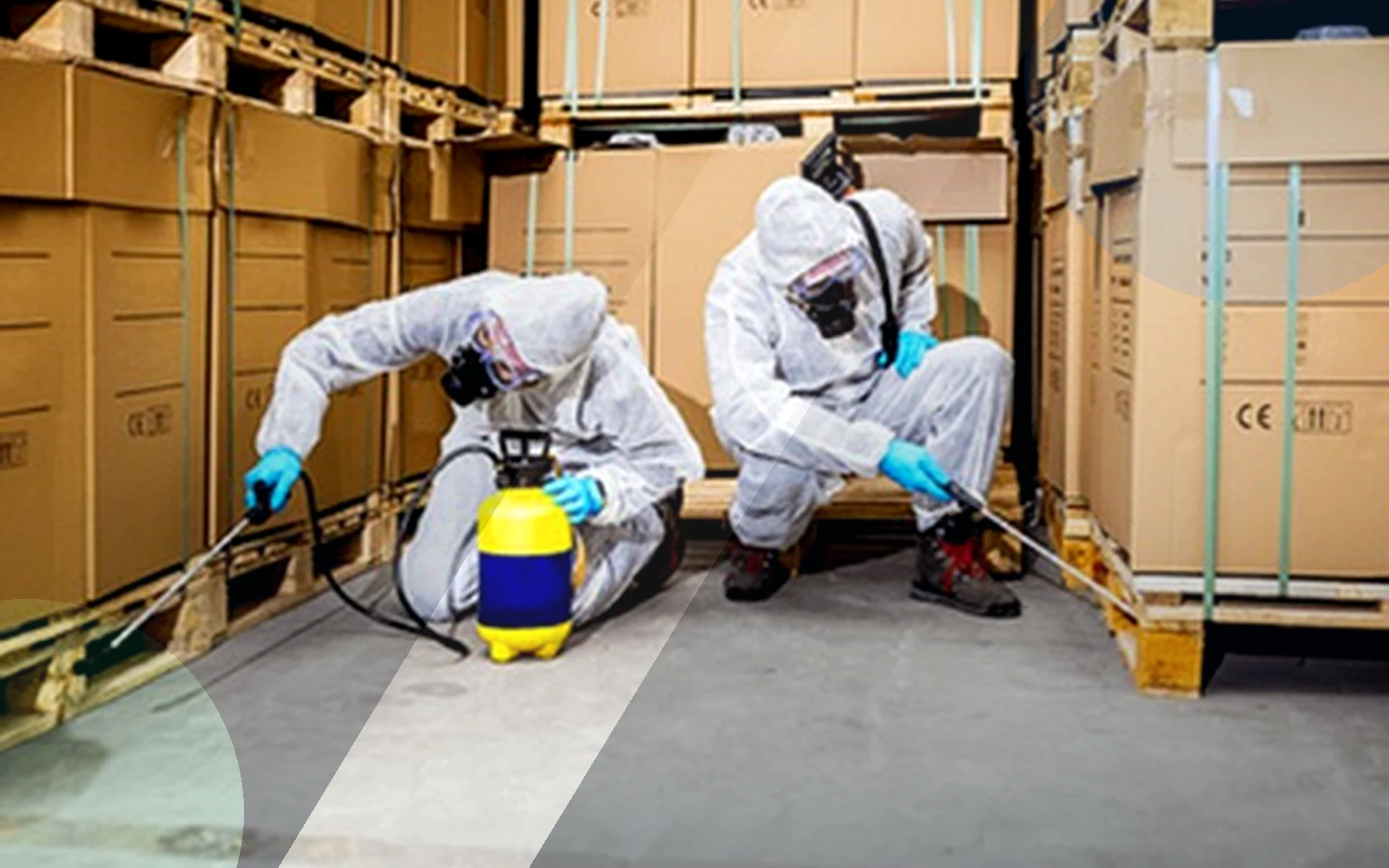 Pest Control Services